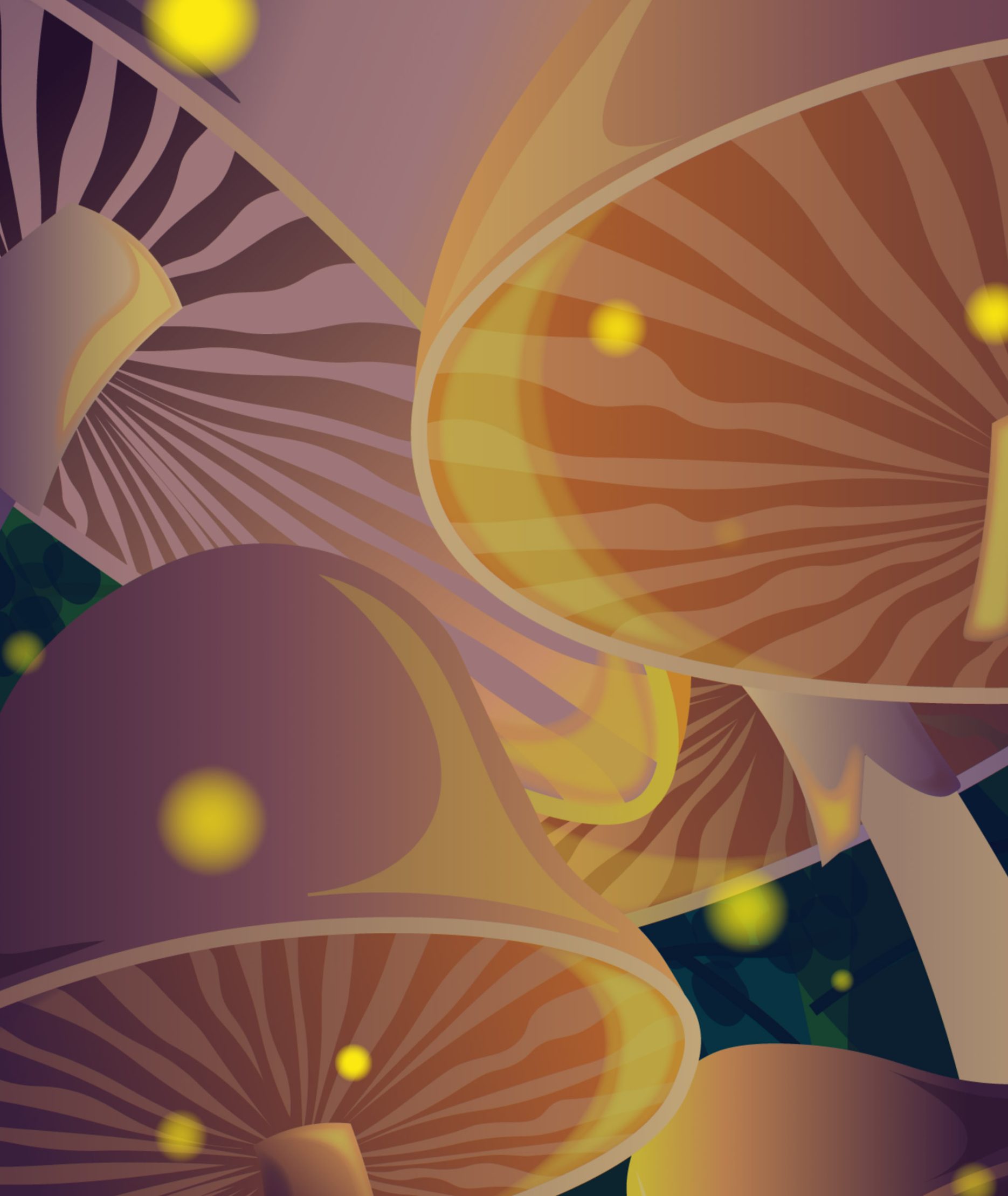 Magic mushrooms