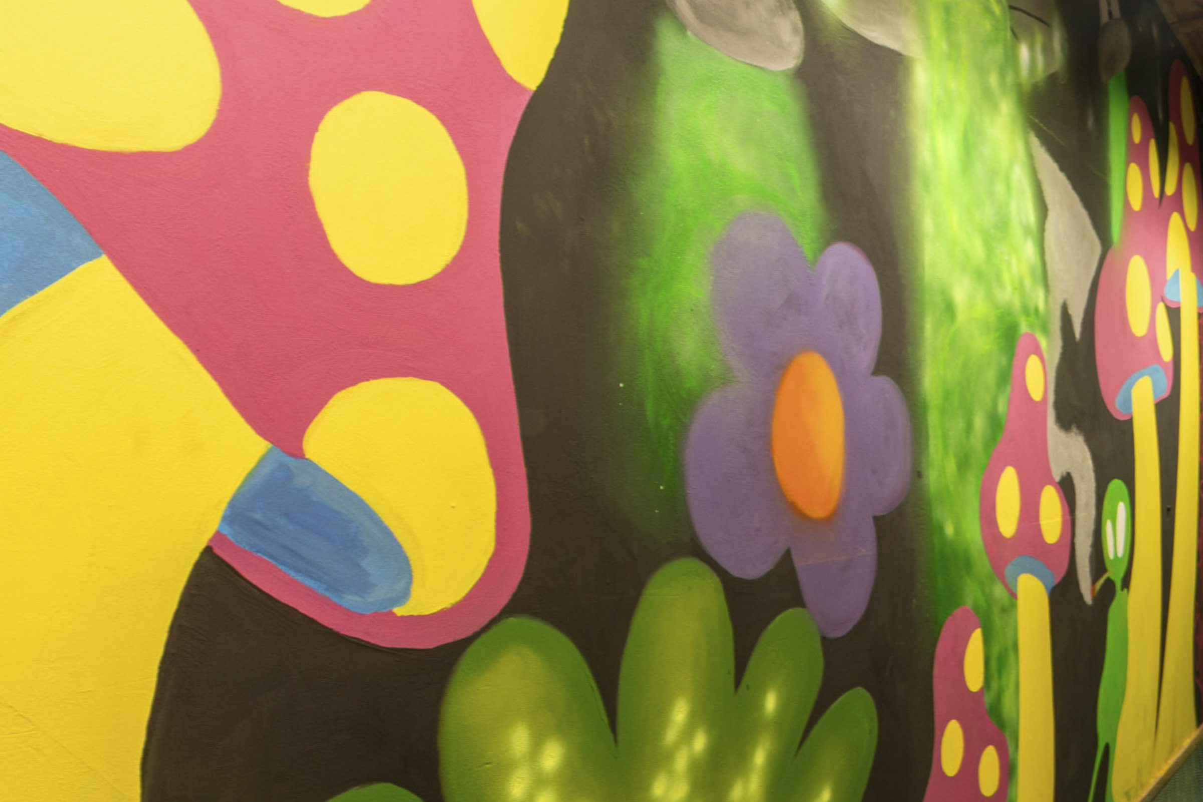 LSD-portal
