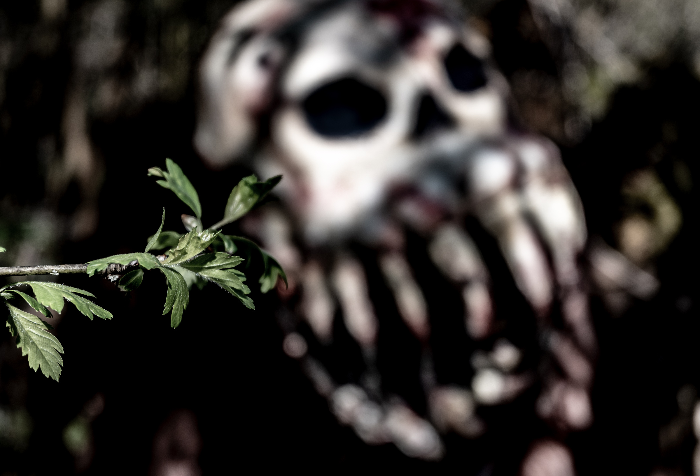 Die Maske des Grauens